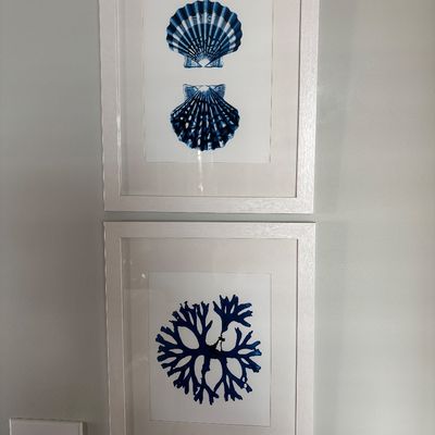 Pair of framed blue cyanotype-style coastal prints featuring sea shells and seaweed in matching white frames.