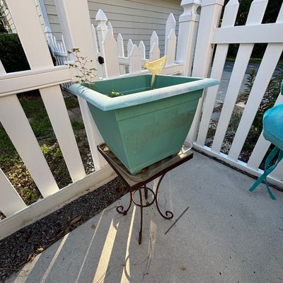 Square teal plastic garden planter featuring a bird water gauge, set atop a wrought iron plant stand.