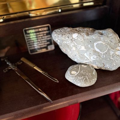 Fossiliferous rock specimens, including Petoskey or shell-bearing stones, alongside two miniature sword-style letter openers displayed on...