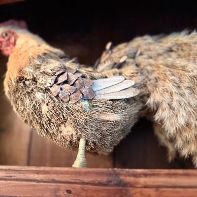 Decorative rooster figurine crafted from natural materials, featuring a straw body, pinecone accents, and feathery tail plume.