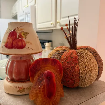 Sale Photo Thumbnail #40: Collection of autumn-themed tabletop decorations, including a pumpkin-motif ceramic candle jar warmer with shade, a carved turkey figurine, and a textured decorative pumpkin.