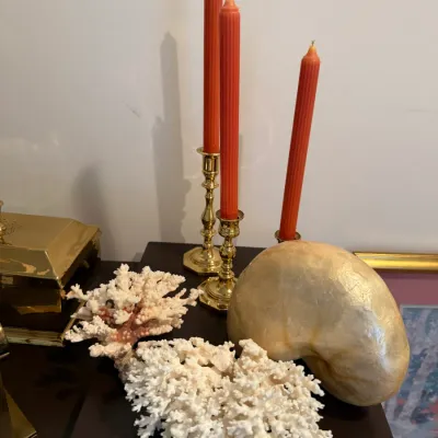 Sale Photo Thumbnail #16: Collection of decorative items featuring natural white coral specimens, a large nautilus shell, and brass candlesticks holding orange ribbed taper candles.