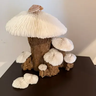 Sale Photo Thumbnail #18: Handcrafted mushroom-themed sculpture constructed from natural mushroom coral specimens and wood, topped with a small seashell.