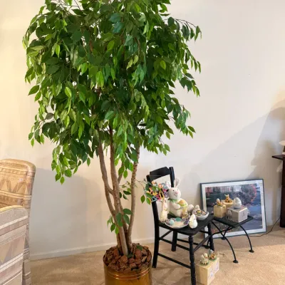 Sale Photo Thumbnail #49: Tall artificial ficus tree set in a metallic planter with bark filler, displayed alongside decorative Easter figurines on a black chair.