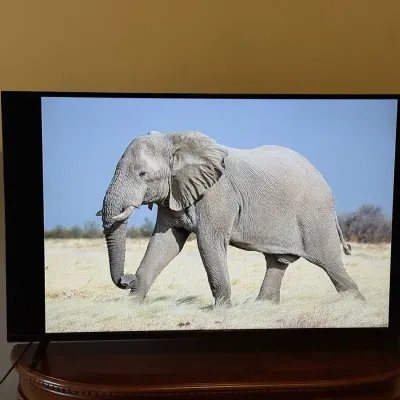 Vizio D55-D2 55-Inch Full HD LED Smart TV with Remote – Tested Working