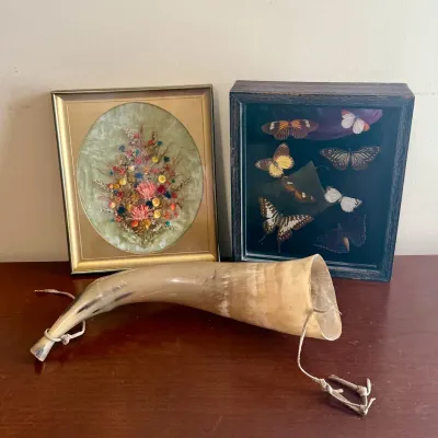 Vintage Natural History Decor Lot – Framed Butterfly Specimens, Dried Floral Art & Large Horn