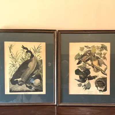 Pair of Vintage John James Audubon Framed Bird Prints – Canada Goose & Wood Duck