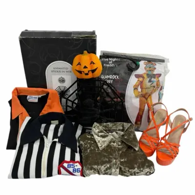 Halloween Costume, Decor & Fashion Mystery Lot