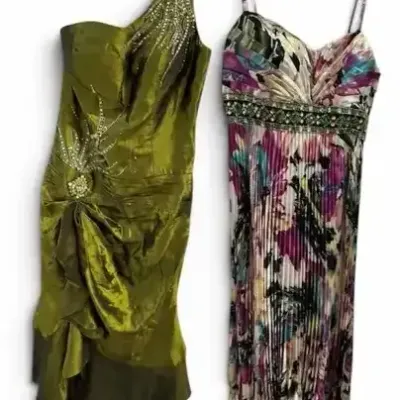 Tiffany Designs Dresses Bundle 