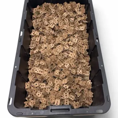 Bulk Collection of Packing Peanuts with Storage Tote