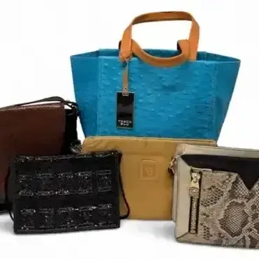  BESSA, Anne Klein & Fashion Handbags 