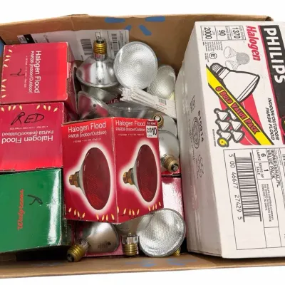Mystery Light Bulb Collection – Philips & Halogen