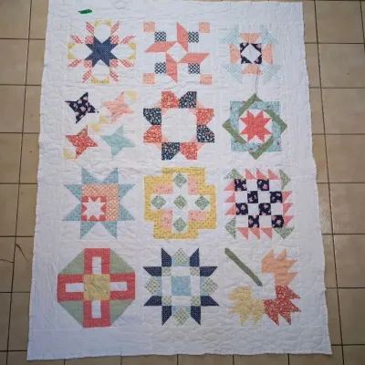 Sale Photo Thumbnail #12: Handmade sampler quilt featuring twelve unique geometric block patterns in pastel and floral fabrics on a white field.