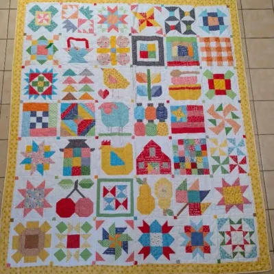 Sale Photo Thumbnail #16: Handmade sampler quilt featuring colorful patchworked blocks with motifs of birds, fruit, houses, and stars, framed by a yellow patterned border.