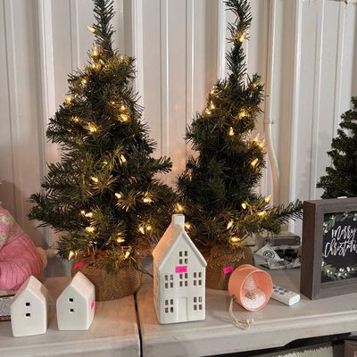 Sale Photo Thumbnail #9: Pillows, Mini trees, Signs, and more.