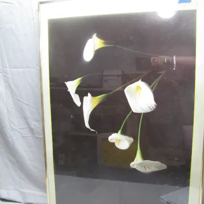 Sale Photo Thumbnail #383