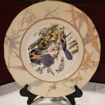 2 Royal Worcester Collector Bird Plates from John James Audubon "Birds of America" Series