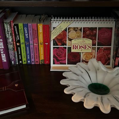 Sale Photo Thumbnail #116
