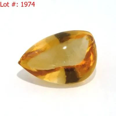 Sale Photo Thumbnail #1950