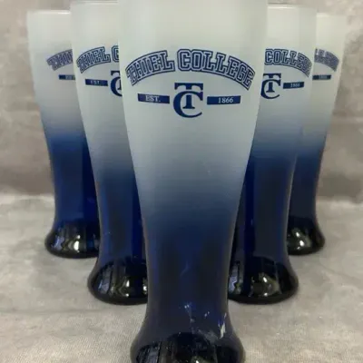 Vintage 6-Glass Thiel College Frosted Beer Glasses 