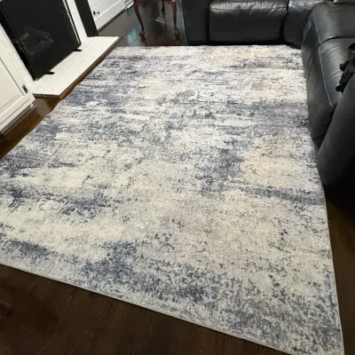 8x10’ Aelenmu Area Rug-Blue/White