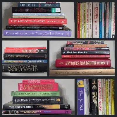 Mystery Book Lot