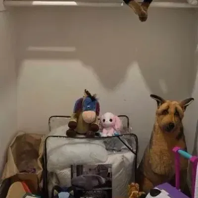 Mystery Closet of Toys Lot