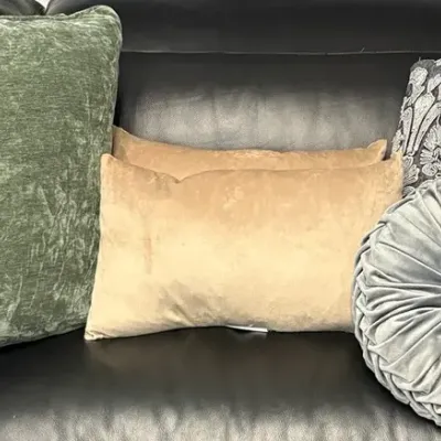 Group of Down Filled Accent Pillows 