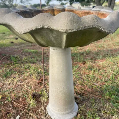 Scalloped Two Piece Concrete Pedestal Birdbath