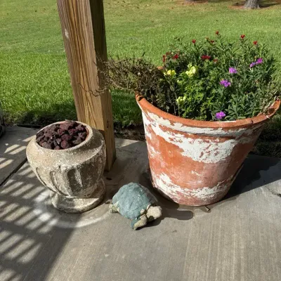 Large Terracotta Garden Planter w/ Flowers & Turtle Statue