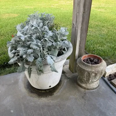 Patio Planter w/ Plants & Decorative Urn
