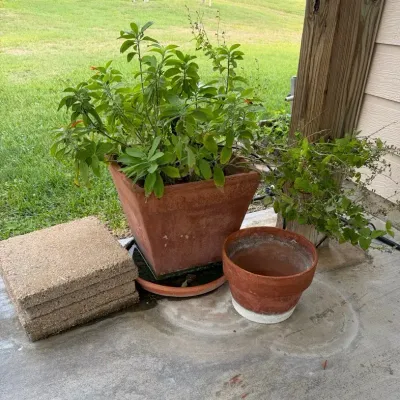 Garden Planters w/ Live Plants & Stepping Stones