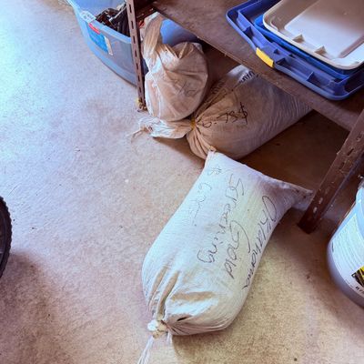 Sale Photo Thumbnail #98: Panhandling sacks of Oklahoma Screening for gold screening