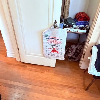 Sale Photo Thumbnail #53: Upcycled 25 lb Super Premium Jasmine Rice sack converted into a tote bag, 