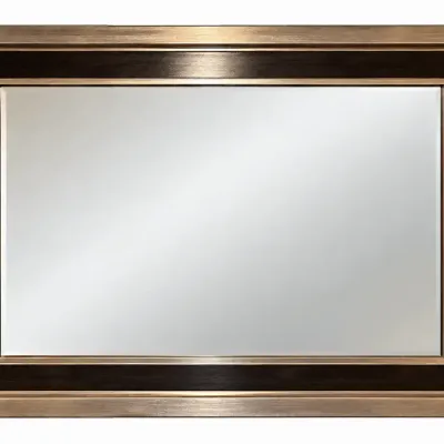 Modern Two Tone Beveled Rectangle Wall Mirror