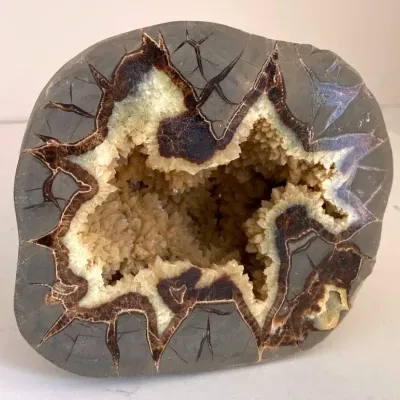 Polished Septarian Nodule Geode 