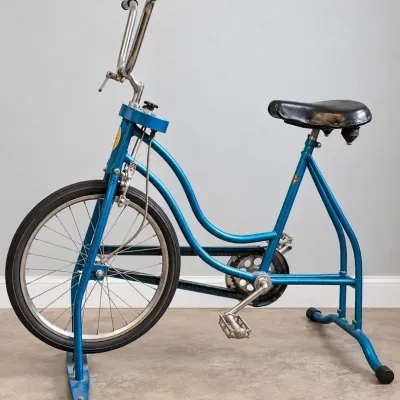 Schwinn Exercise Bike 