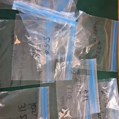 Assortment of gold and .999 fine silver shark tooth pendants and bullion in labeled plastic bags.