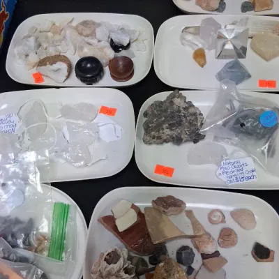 Collection of assorted rocks, minerals, raw quartz, and fossils arranged in white trays, offered individually or in groups.