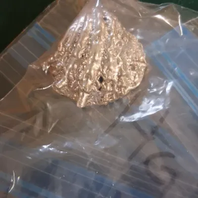 A silver-toned textured shell brooch sealed inside a clear plastic storage bag.. 999 silver