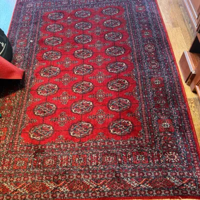 Sale Photo Thumbnail #125: Hand-knotted Bokhara style area rug in vibrant red with repeating gul motifs and white fringed ends.