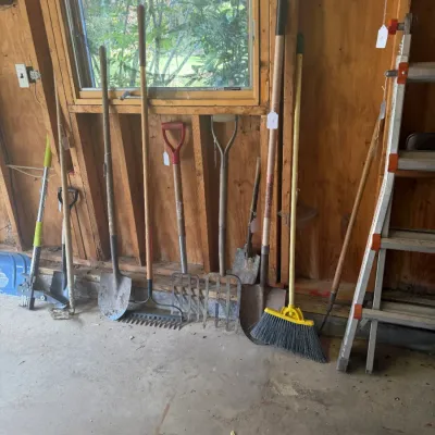 Sale Photo Thumbnail #204: Collection of long-handled lawn and garden tools including shovels, pitchforks, a rake, a broom, and an aluminum stepladder lined up against a wooden garage wall.