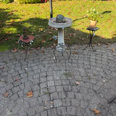 Sale Photo Thumbnail #123: Concrete bird bath with a turtle centerpiece, surrounded by wrought iron plant stands displayed outdoors on a paved patio.