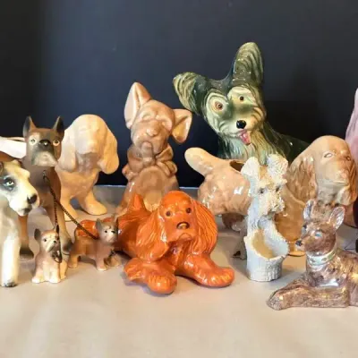 The Dog Pound (G1)