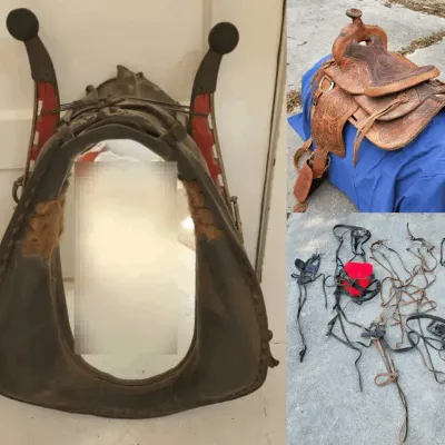 Horse Collar Mirror & More (G1)