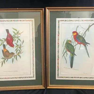 2 Vintage John Gould Bird Prints #2 And #3