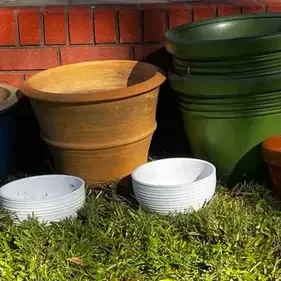 Collection Of Planters 