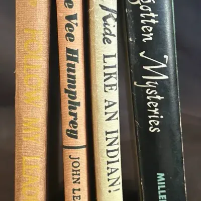 Vintage Children’s Chapter Books