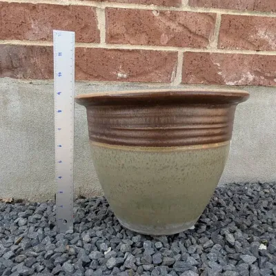 Hefty Ceramic Pot w/ "Arrowhead Ivy" live plant 