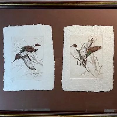 Framed pair of hand-colored waterfowl etchings on deckle-edged paper, set in a brown mat and dark wood frame.